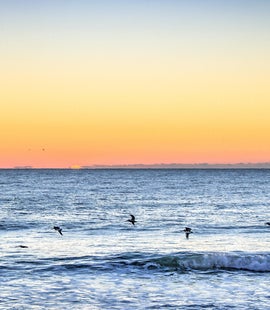 KB Surf Shack-Sunrise