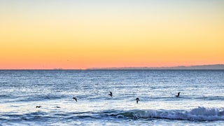 KB+Surf+Shack-Sunrise