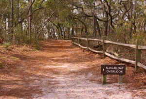 Sugar Loaf Overlook Trail