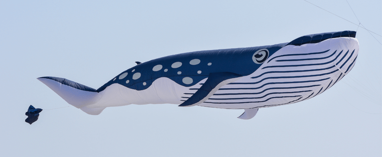 a large kite that looks like a whale flying in the sky.